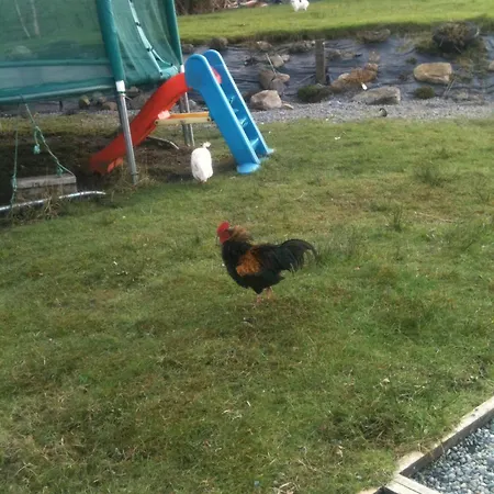 住宿加早餐酒店 鹿苑庄园食宿酒店 4*