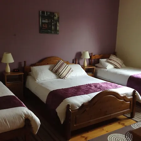Deerpark Manor 4* 스윈포드