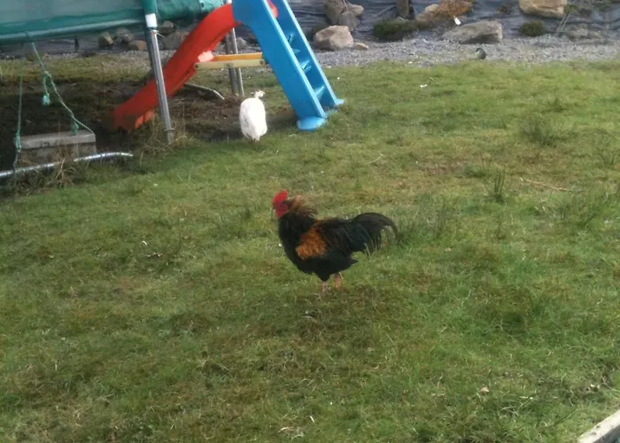 Bed & Breakfast Deerpark Manor 4*